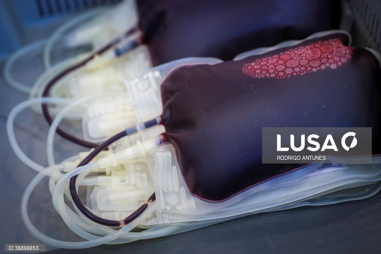 Instituto do Sangue refor?ou reservas nos hospitais devido ao acidente no elevador da Glória