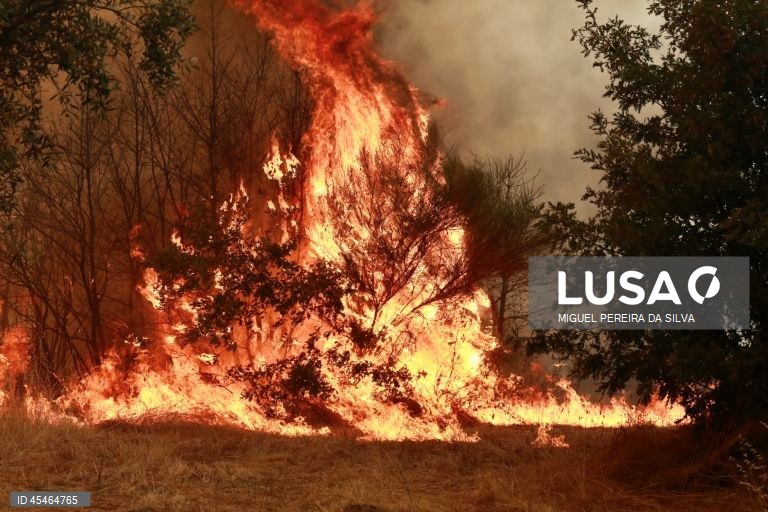Brasil regista o menor número de incêndios no mês de agosto em 27 anos
