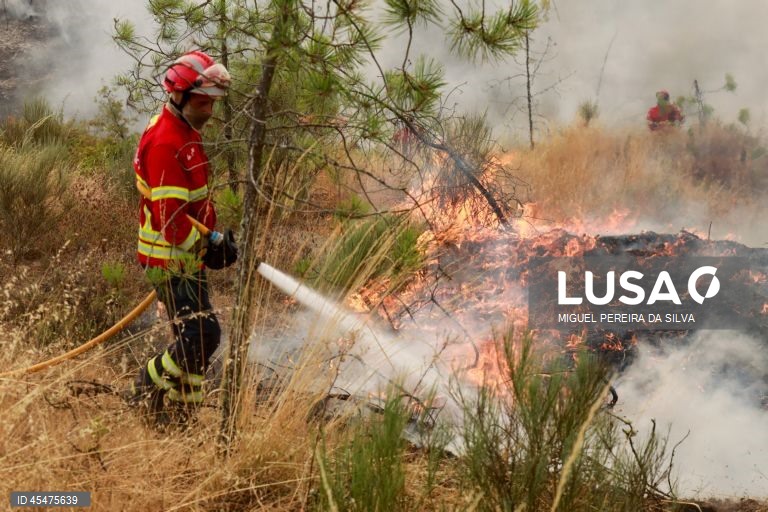 Incêndio em Viseu mobiliza mais de 250 operacionais e sete meios aéreos