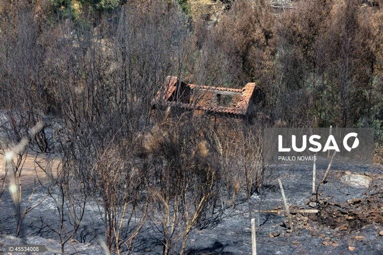 Altera??es climáticas tornam ondas de calor em Portugal 40 vezes mais prováveis - estudo